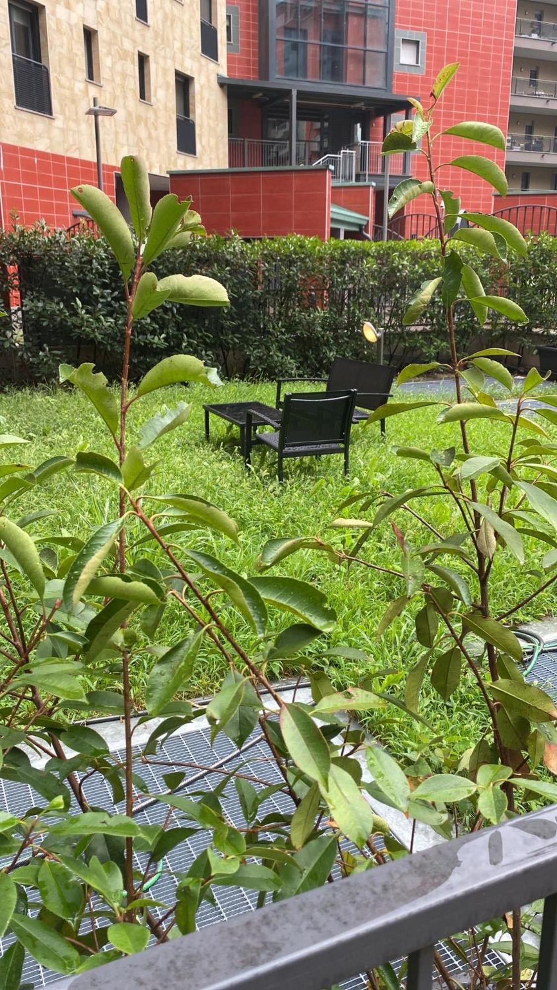 Cos54 - Exclusive Apartment With Garden In Milão Exterior foto